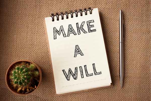 will writing services